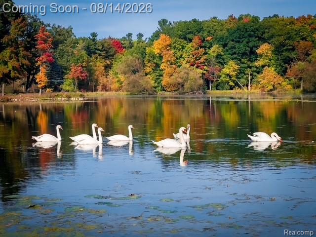 301 Willow Lane Property Photo 4