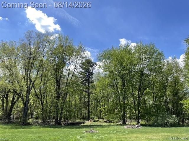 301 Willow Lane Property Photo 5