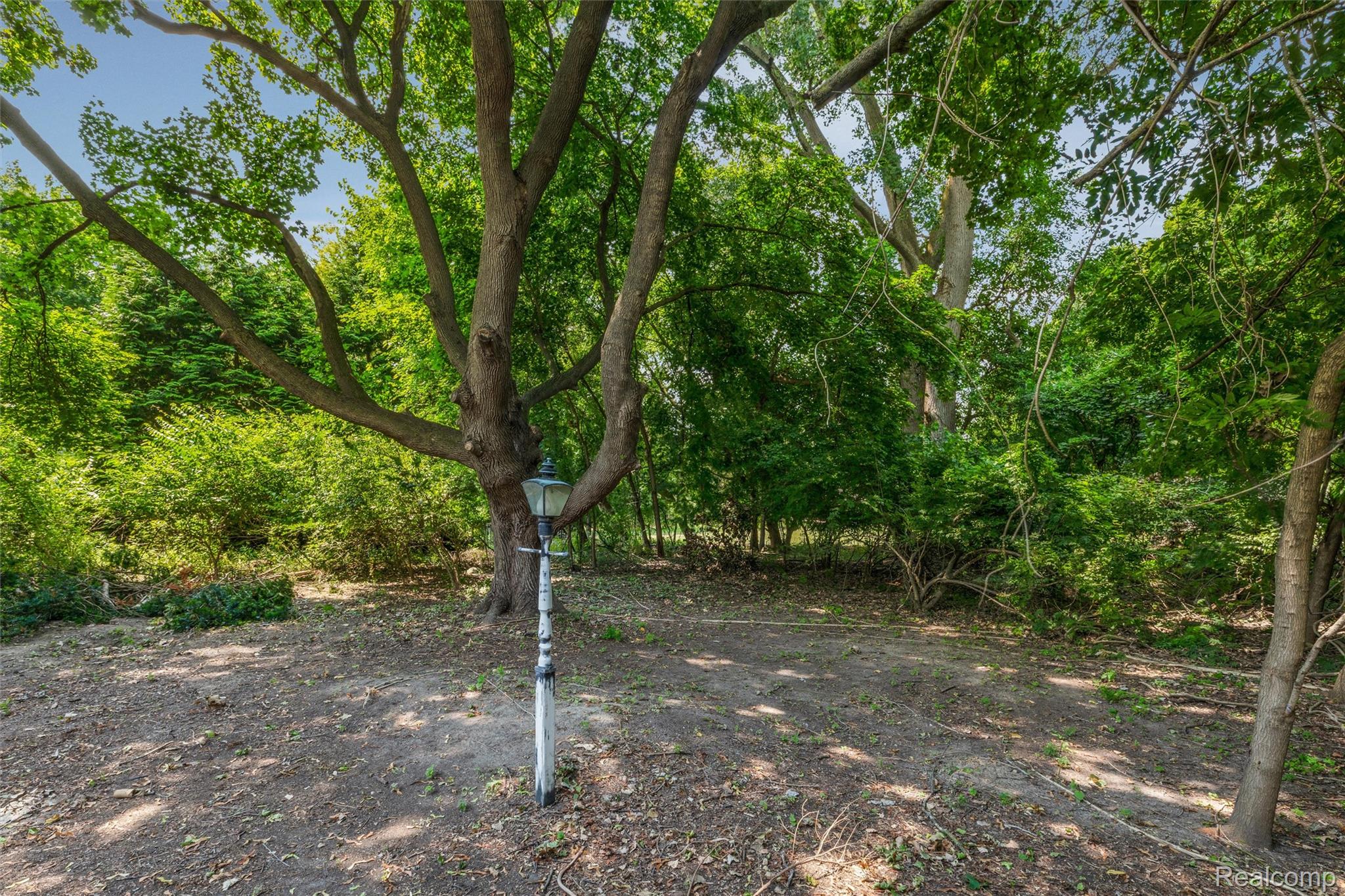 26261 La Muera Street Property Photo 2