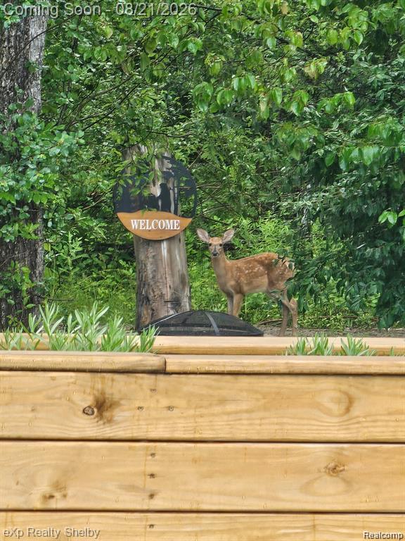 70336 Welding Road Property Photo 59