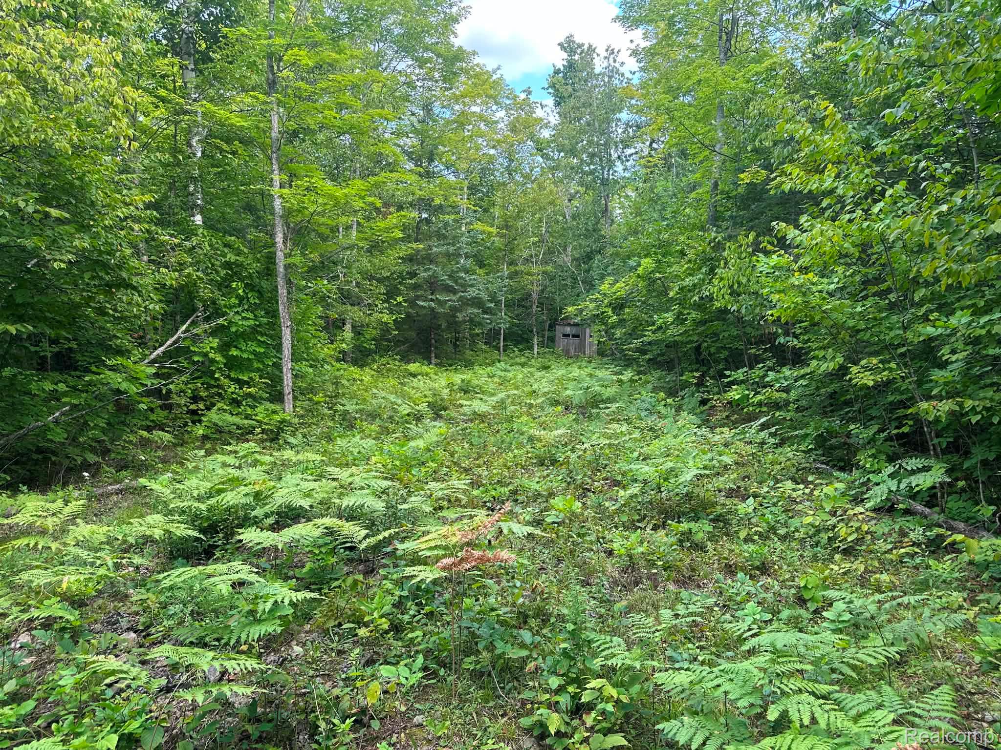 0 Us Hwy 23 Property Photo 4