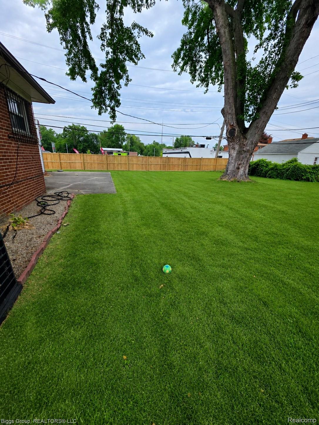 11414 Burt Road Property Photo 3
