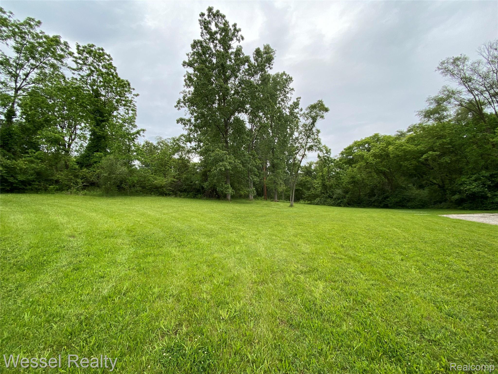 31 Mile Road Property Photo 4