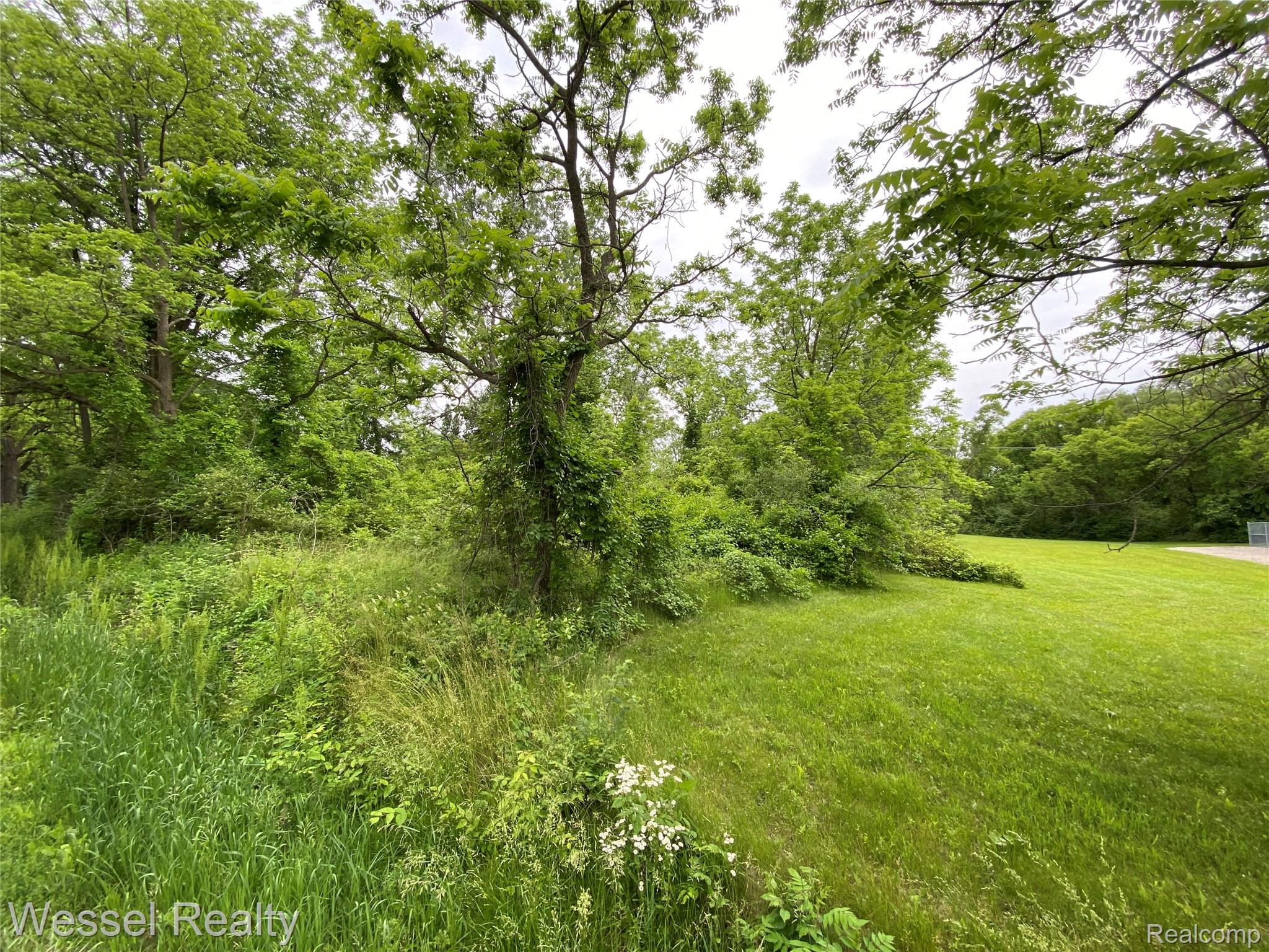 31 Mile Road Property Photo 6