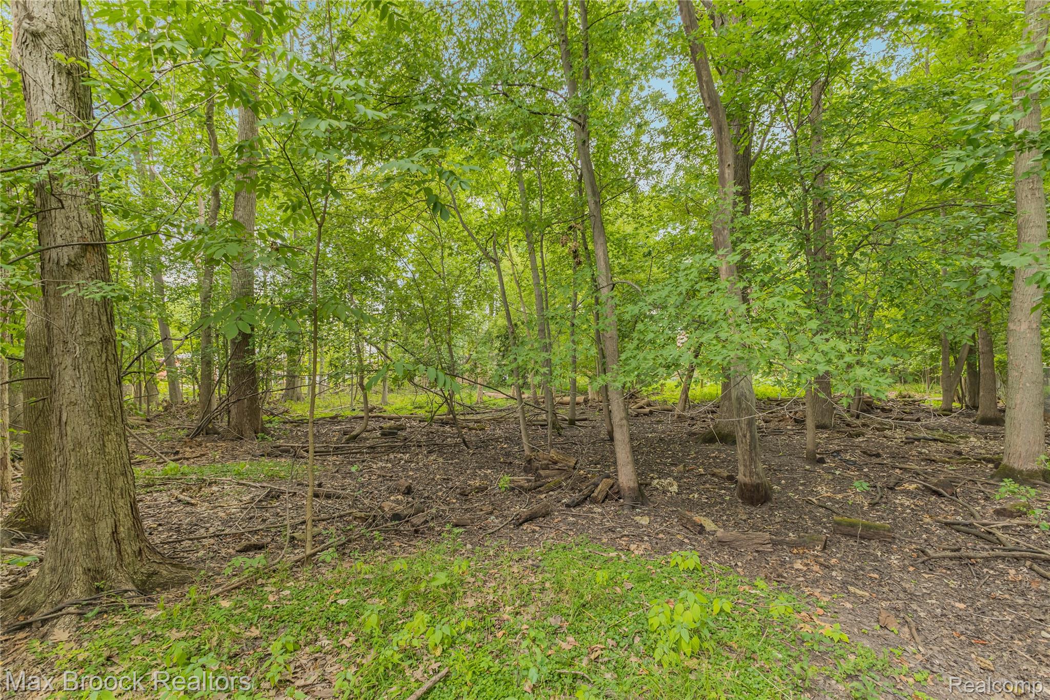 29799 Linden Street Property Photo 72