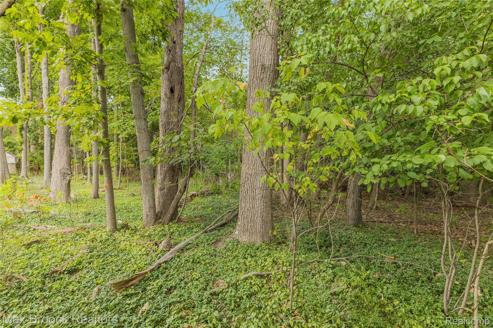 29799 Linden Street Property Photo 73