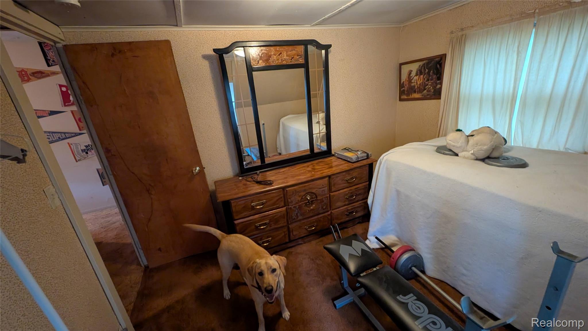2945 Maganser Drive Property Photo 7