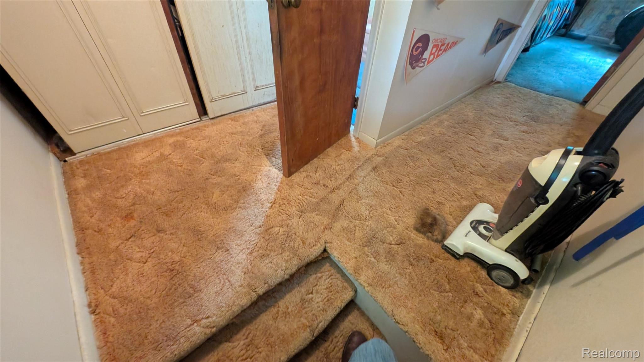 2945 Maganser Drive Property Photo 16