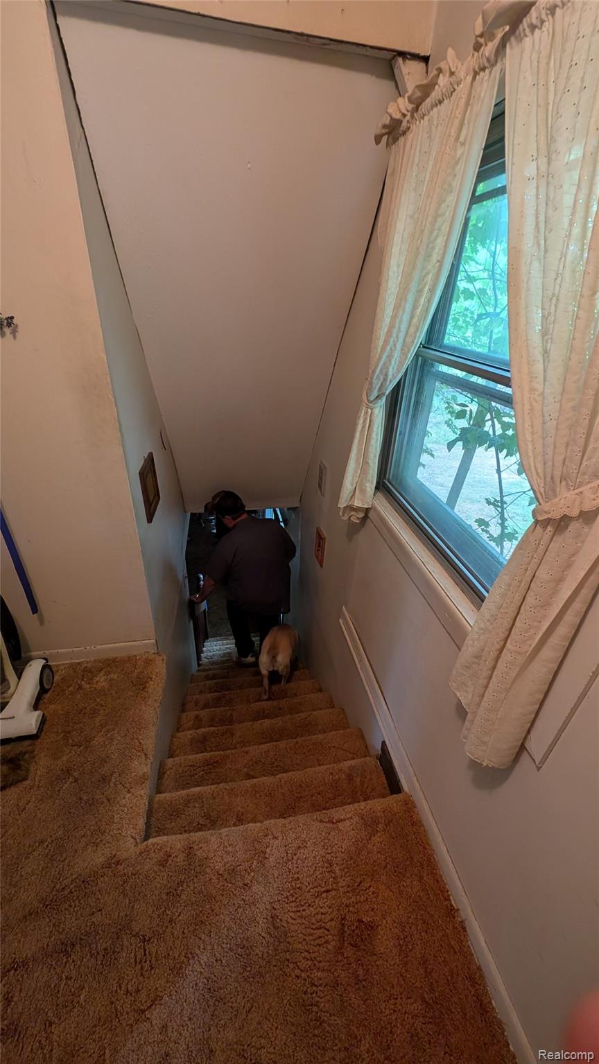 2945 Maganser Drive Property Photo 22