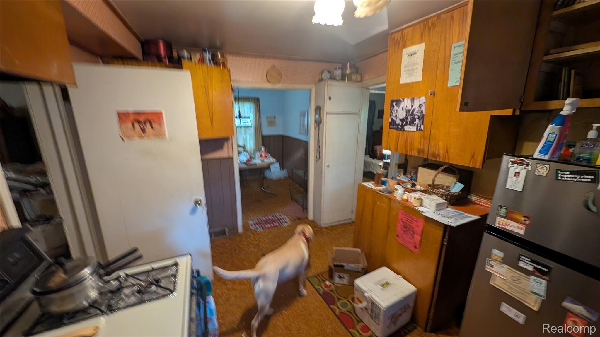 2945 Maganser Drive Property Photo 32
