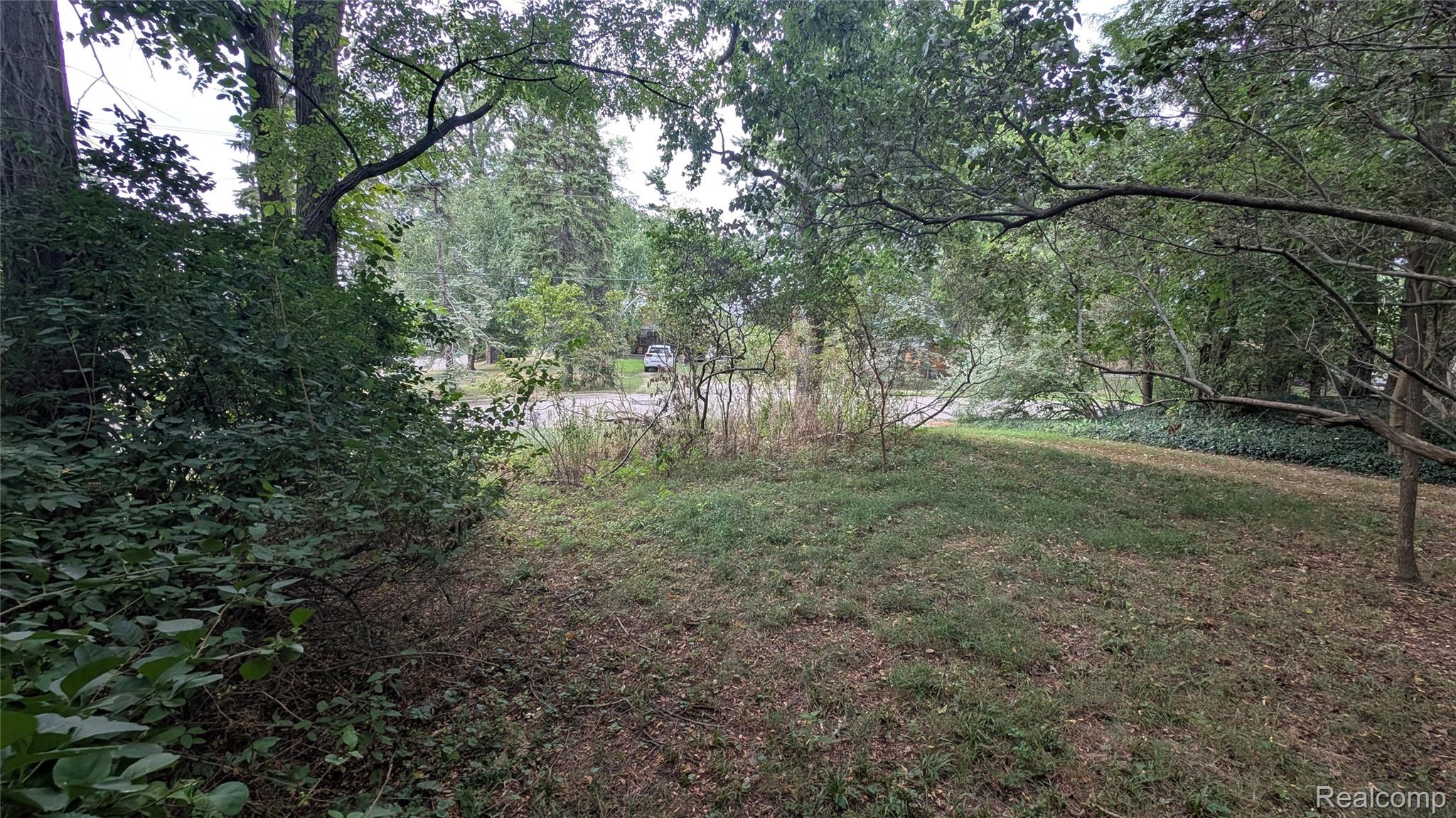 2945 Maganser Drive Property Photo 66