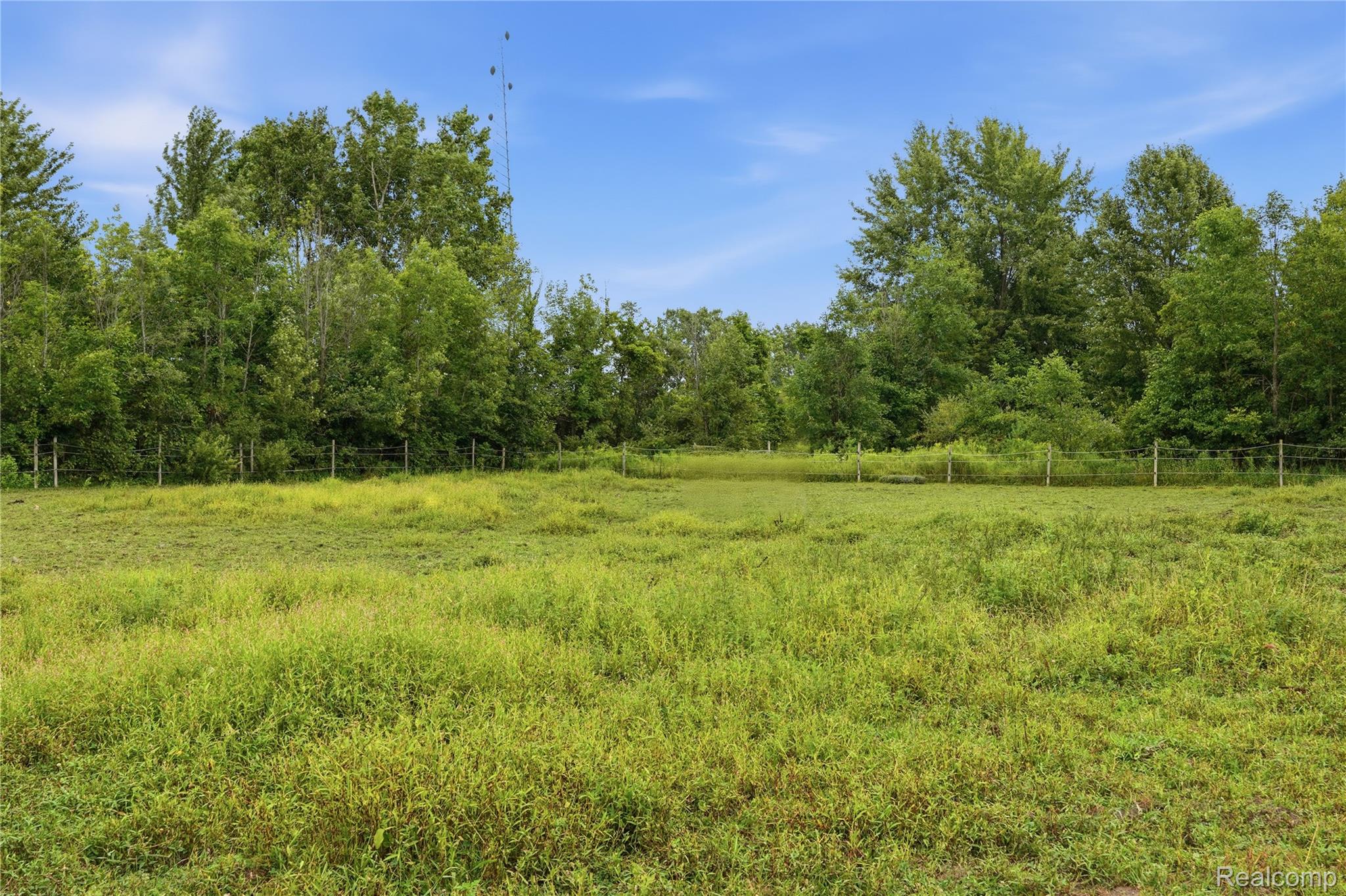 3890 Whitetail Trail Property Photo 41