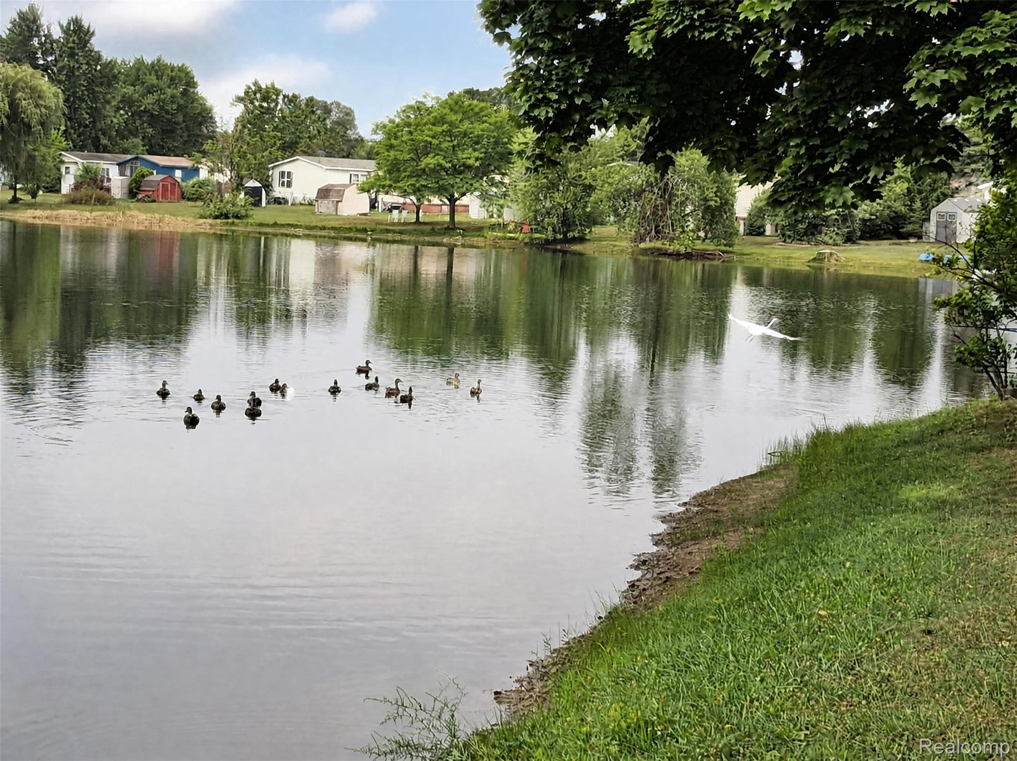 48582 Lakeview Property Photo 3