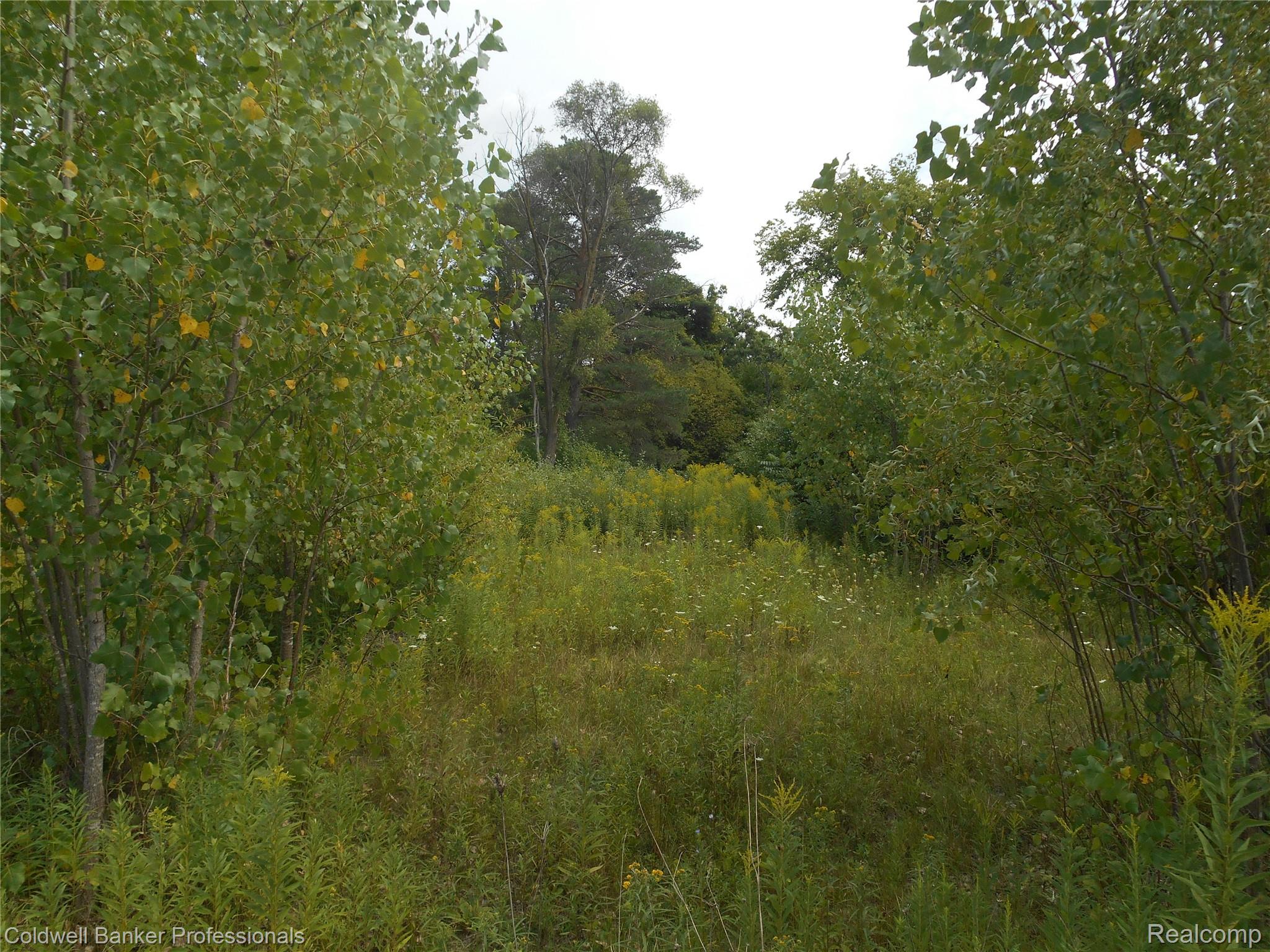 2448 Clayward Drive Property Photo 1