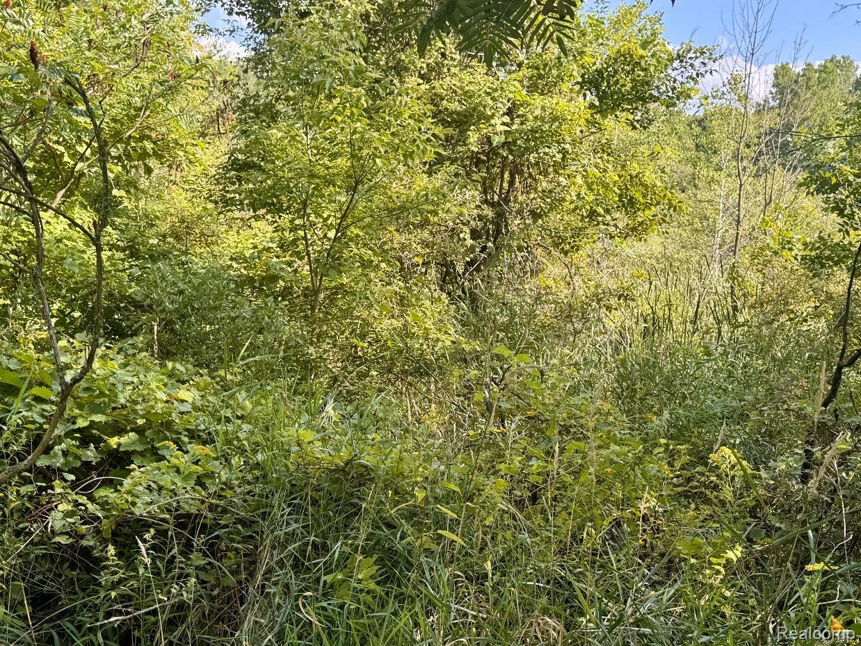 20261066993 Property Photo 11