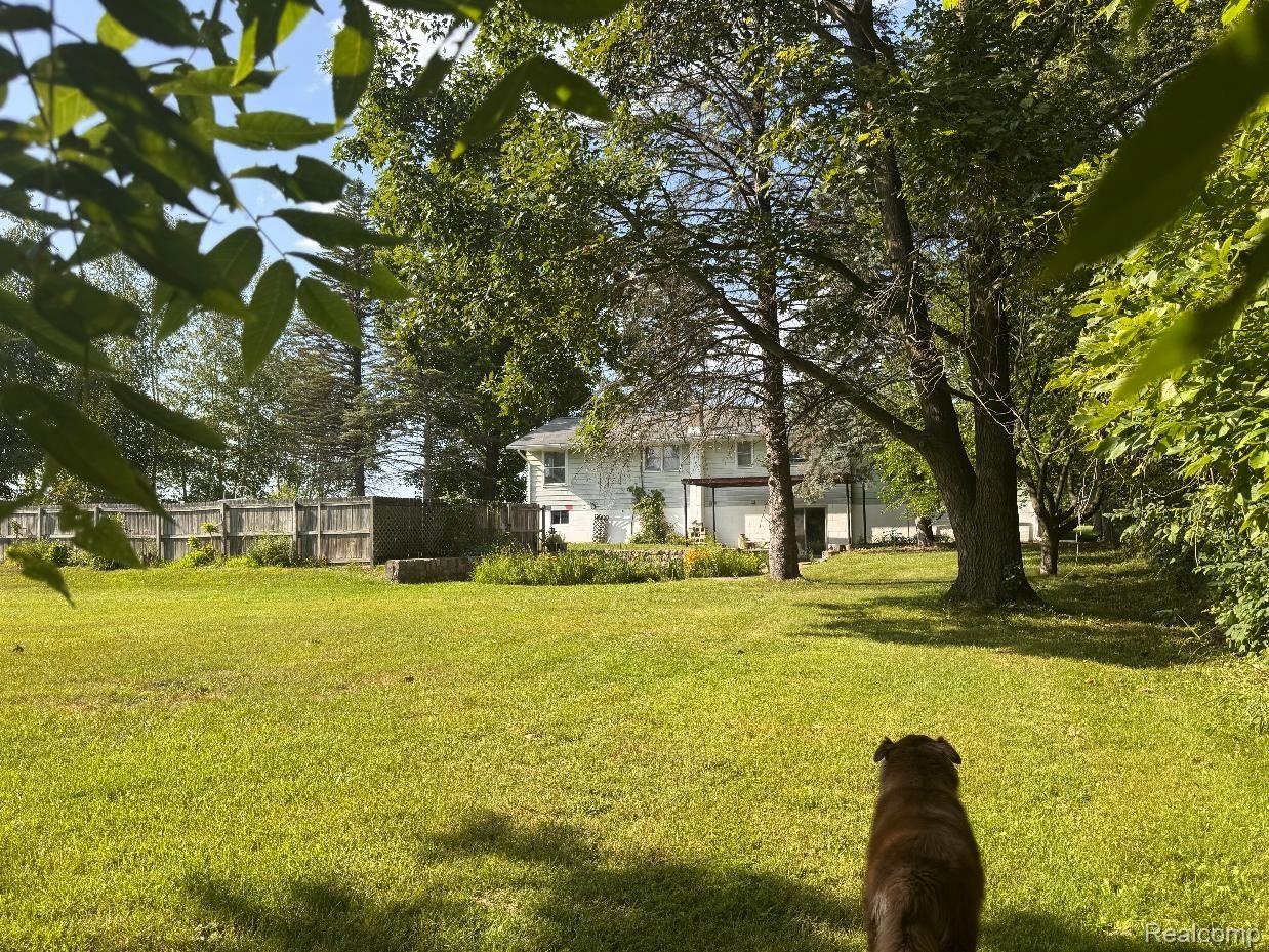20261066993 Property Photo 12