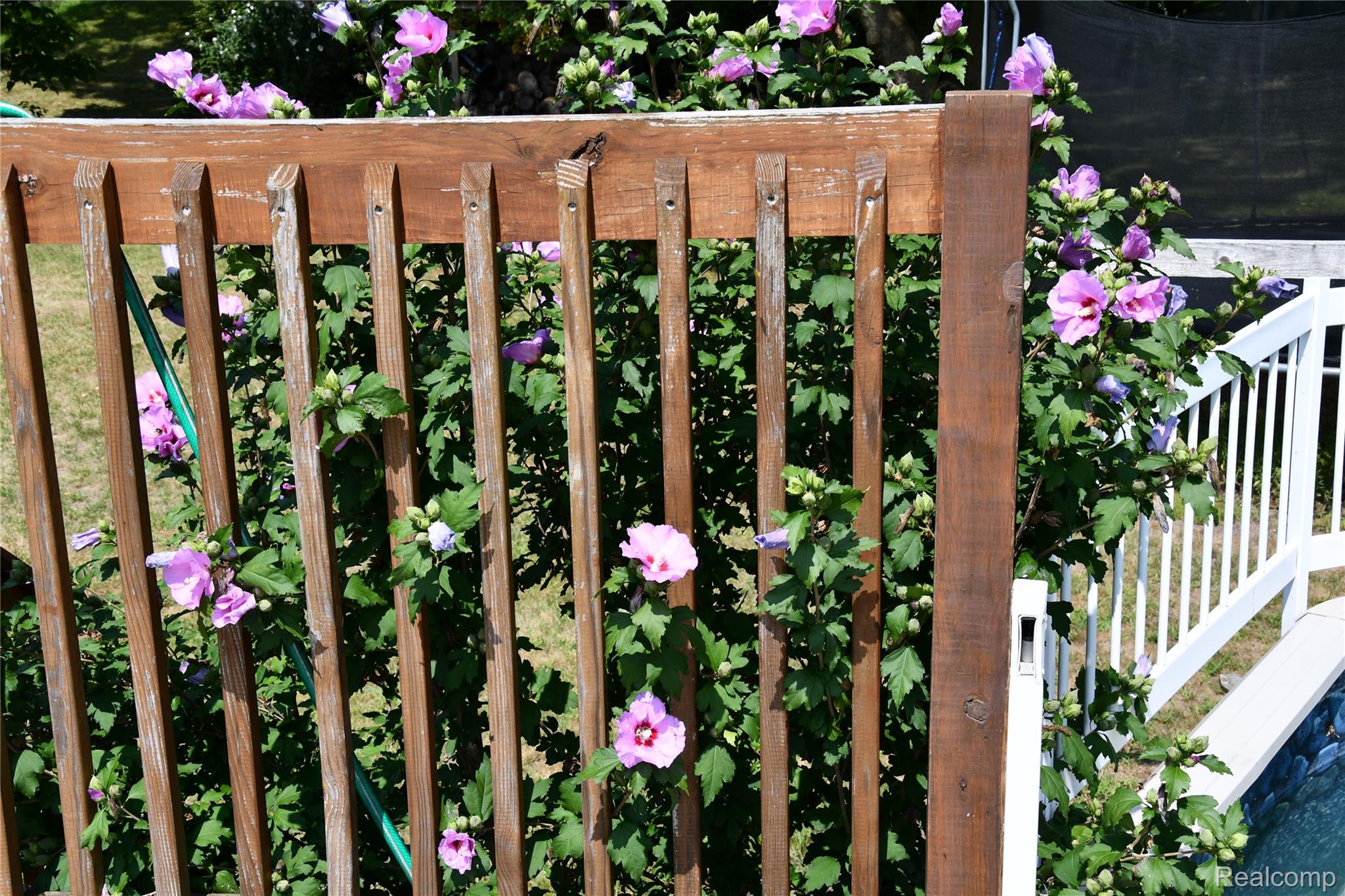 9039 Peer Road Property Photo 9