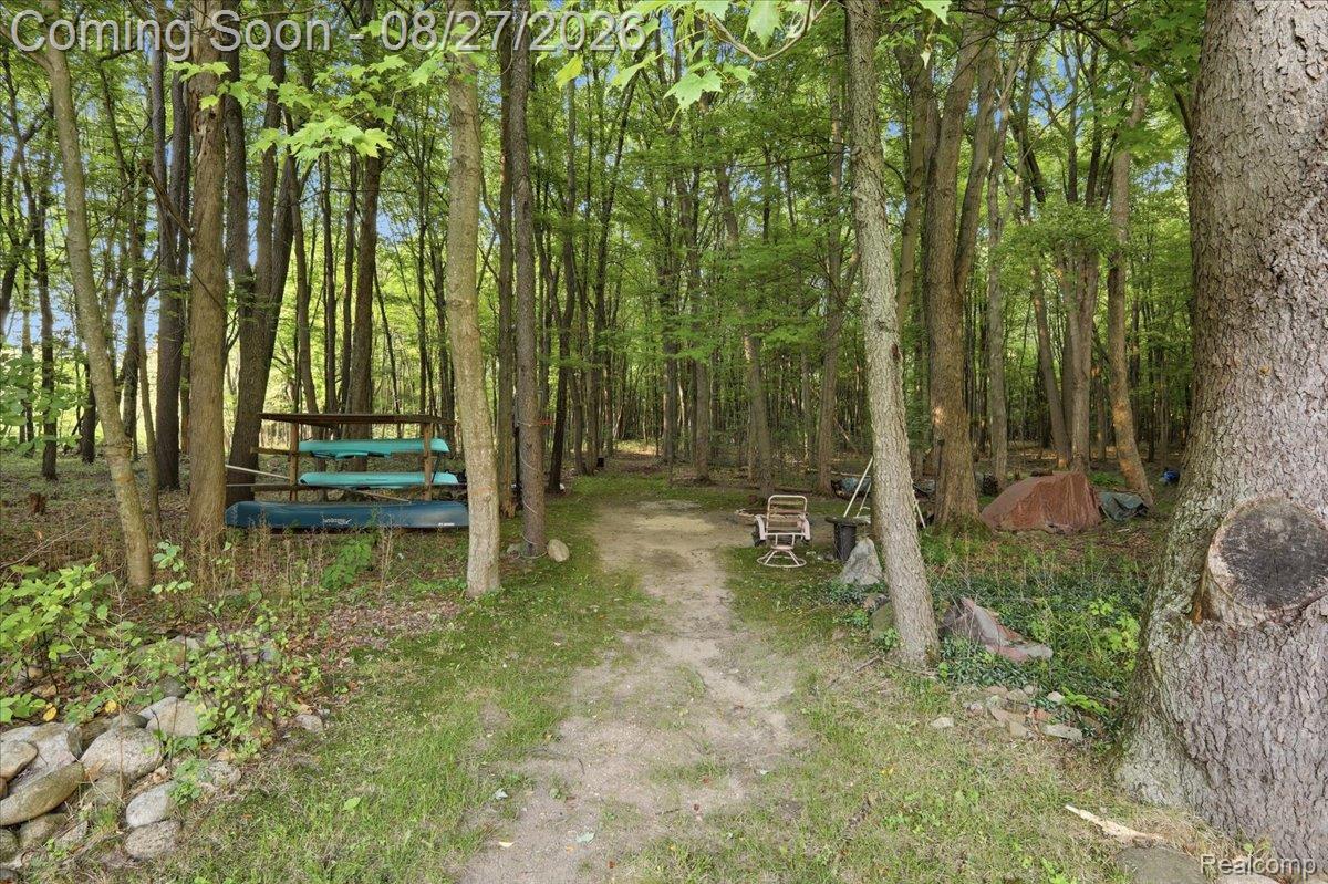 10100 Springtime Circle Property Photo 62