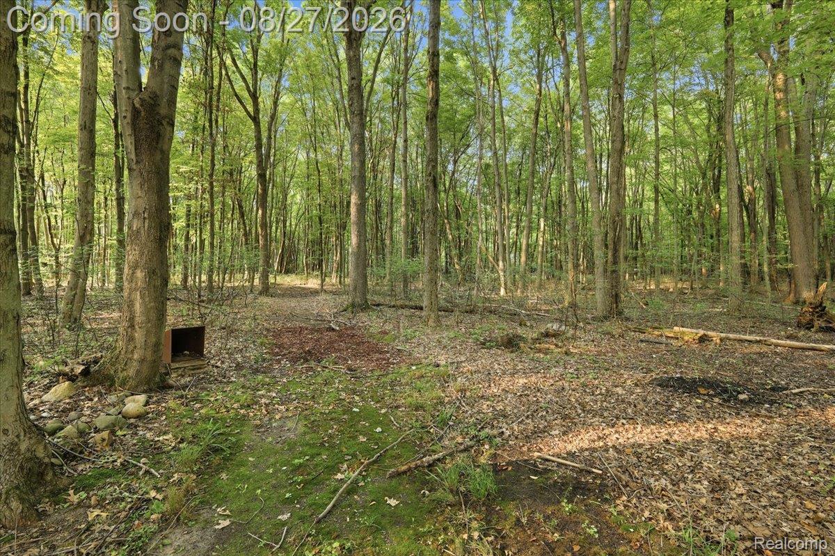 10100 Springtime Circle Property Photo 65