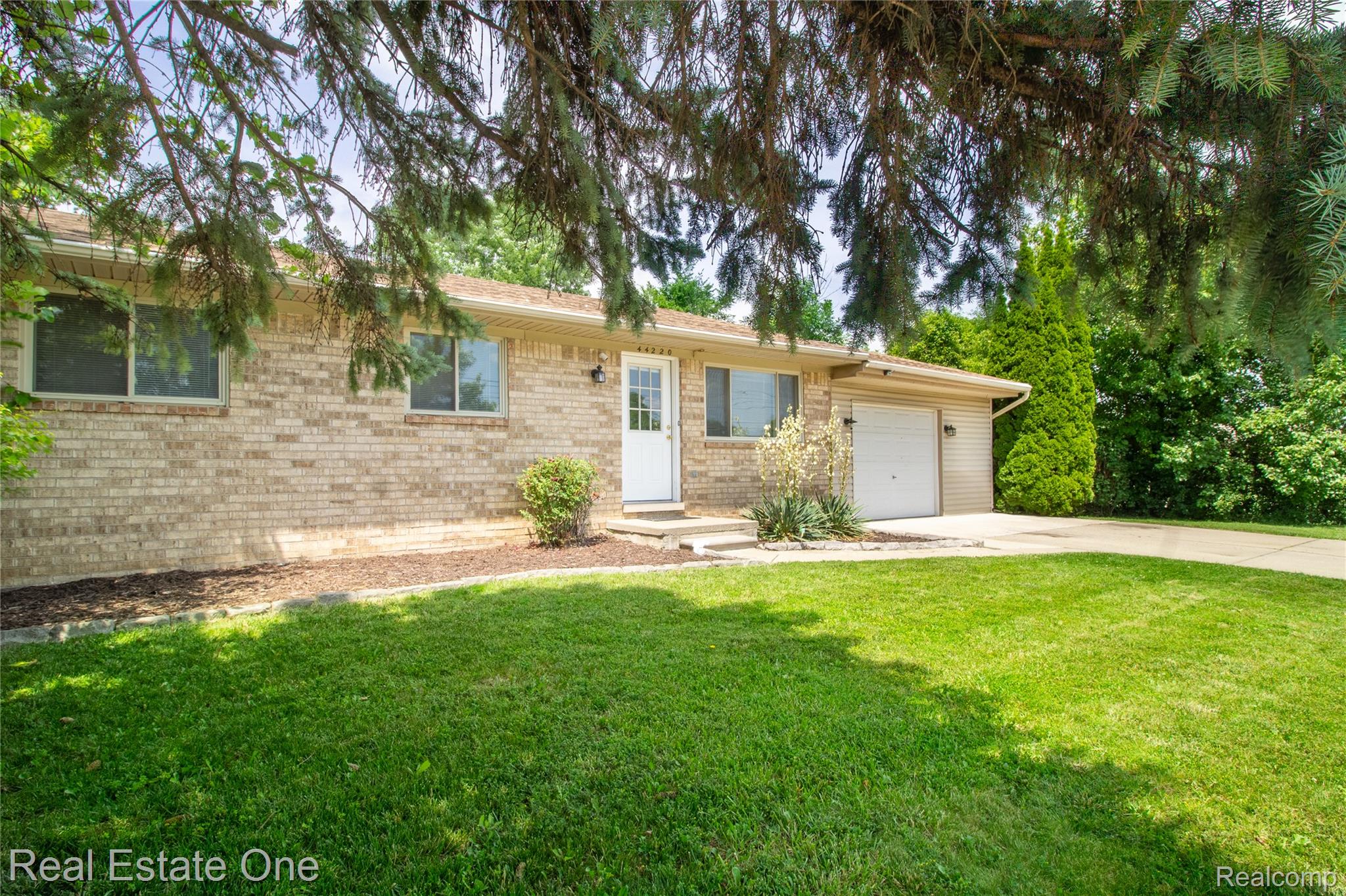 44220 Saltz Road Property Photo 3