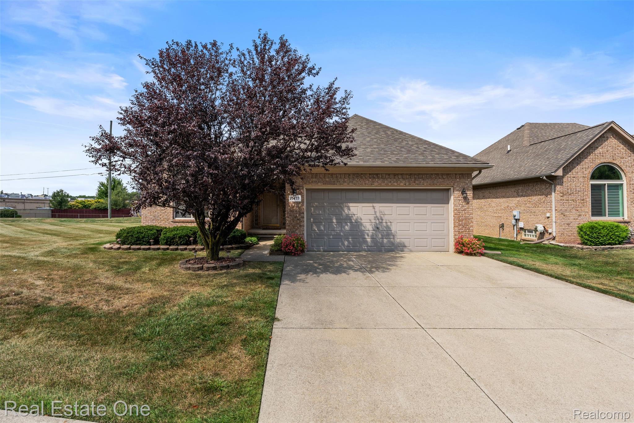 15455 Cucci Drive Property Photo 1