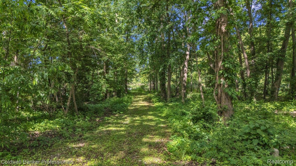 76107 Van Dyke Road Property Photo 32