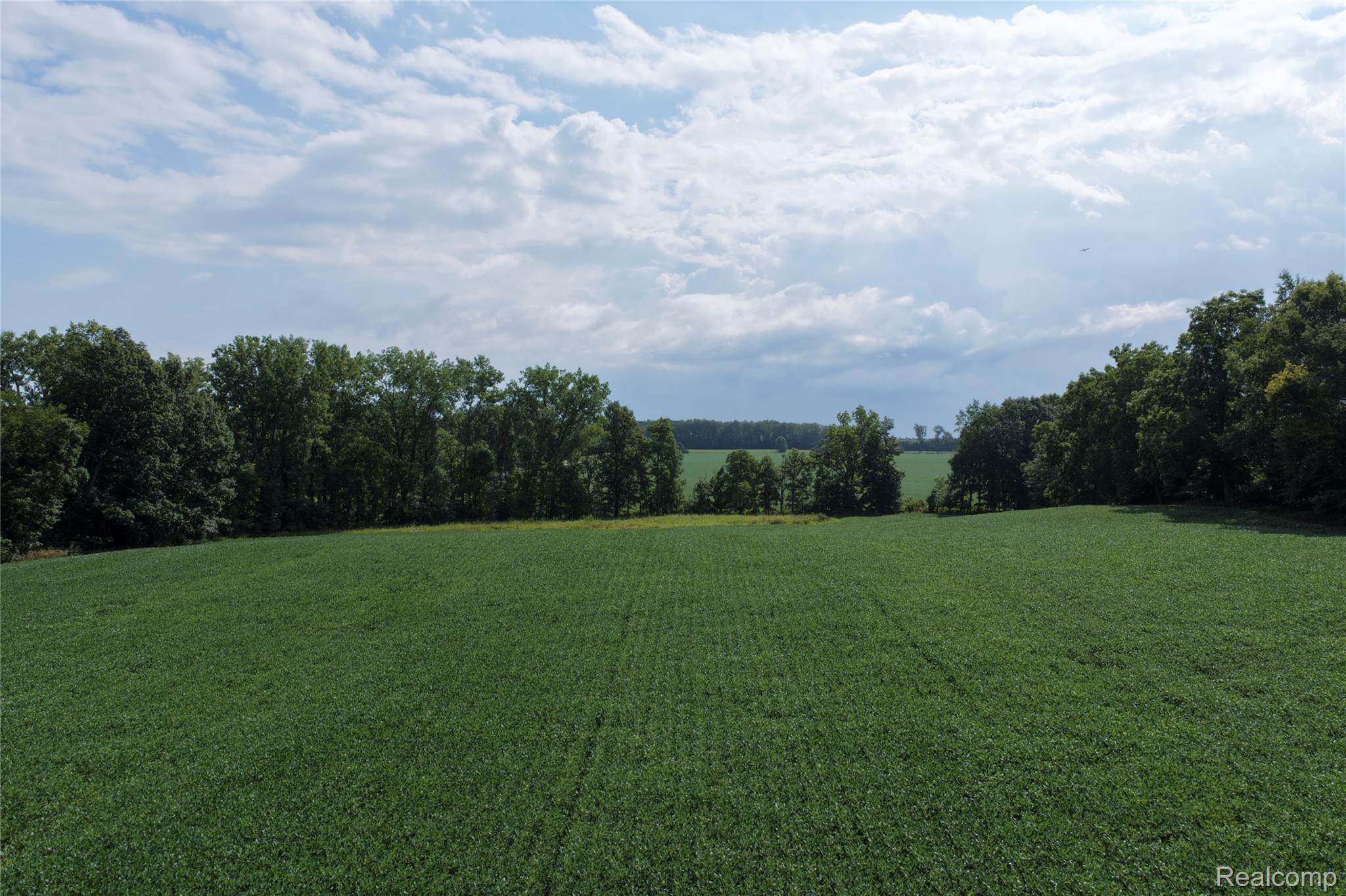 7500 Jonesville Road Property Photo 10