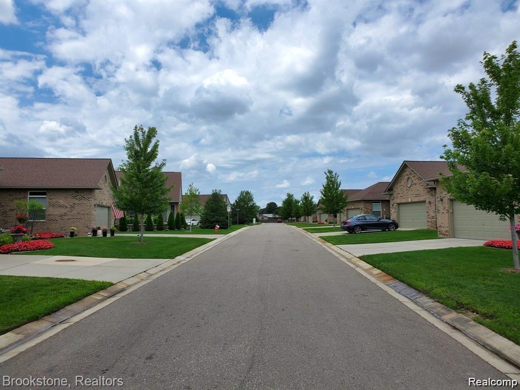35413 Upmann Drive Property Photo 19