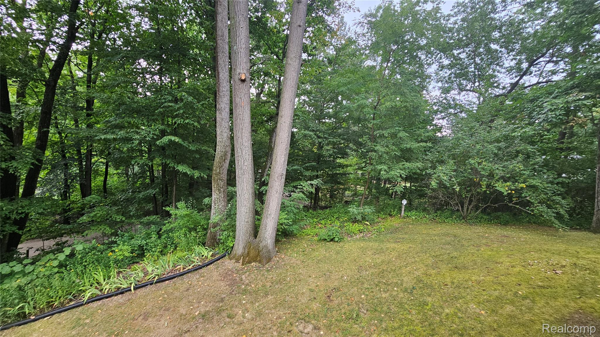 9929 Sienna Court Property Photo 40