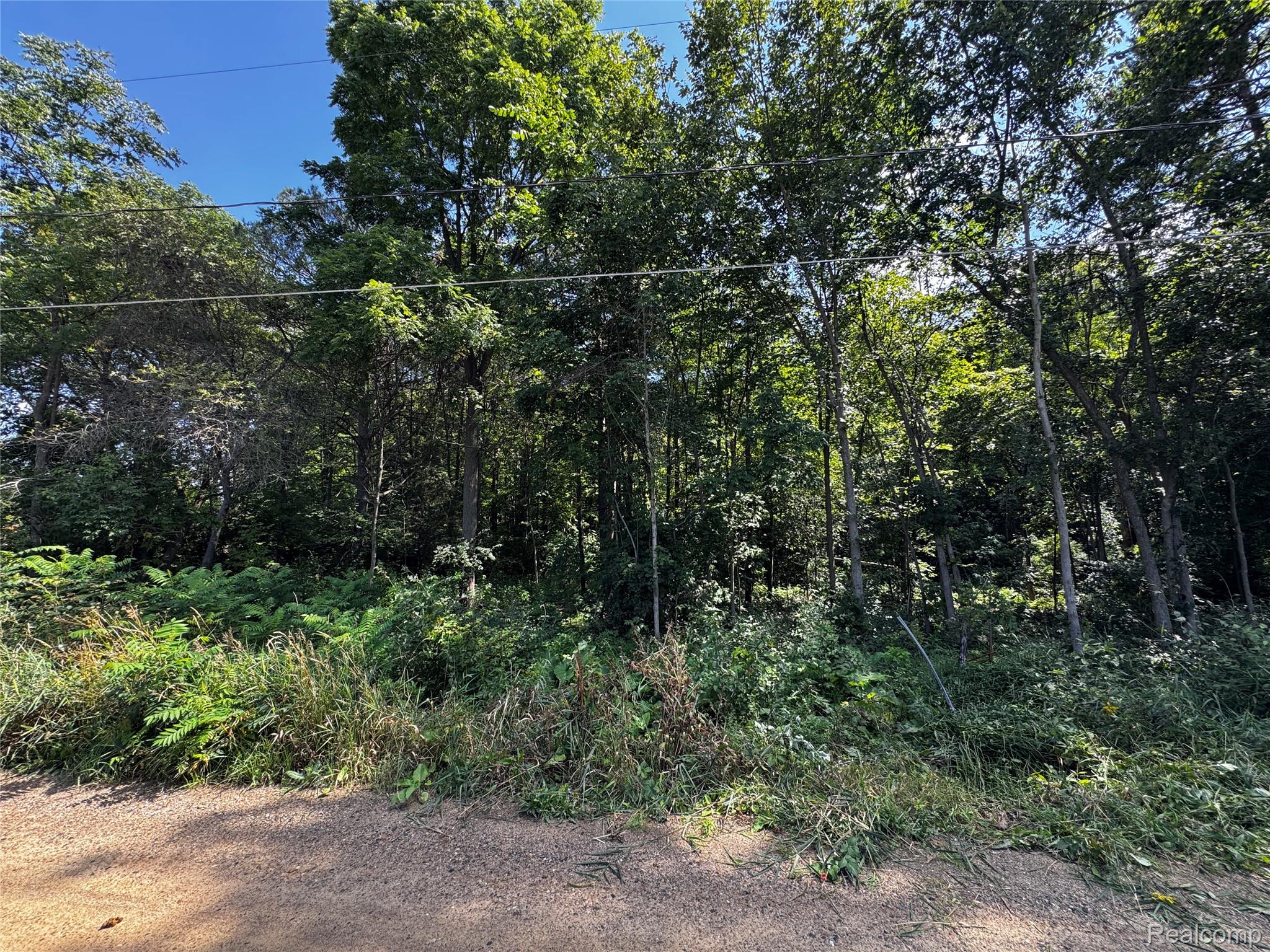 12195 Softwater Lake Dr Property Photo 1
