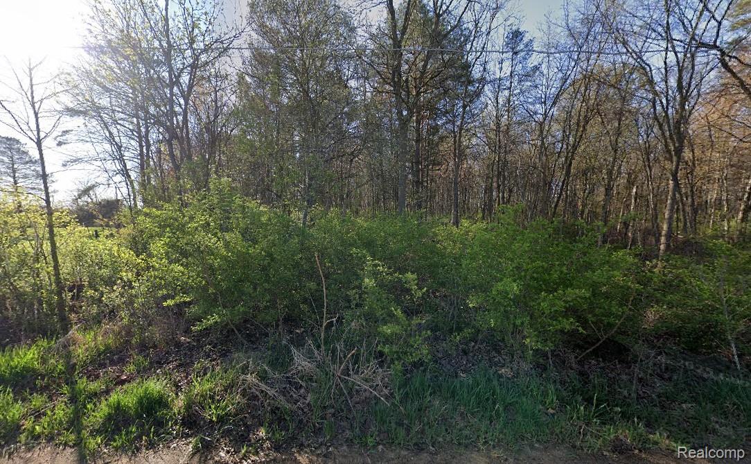 12195 Softwater Lake Dr Property Photo 3