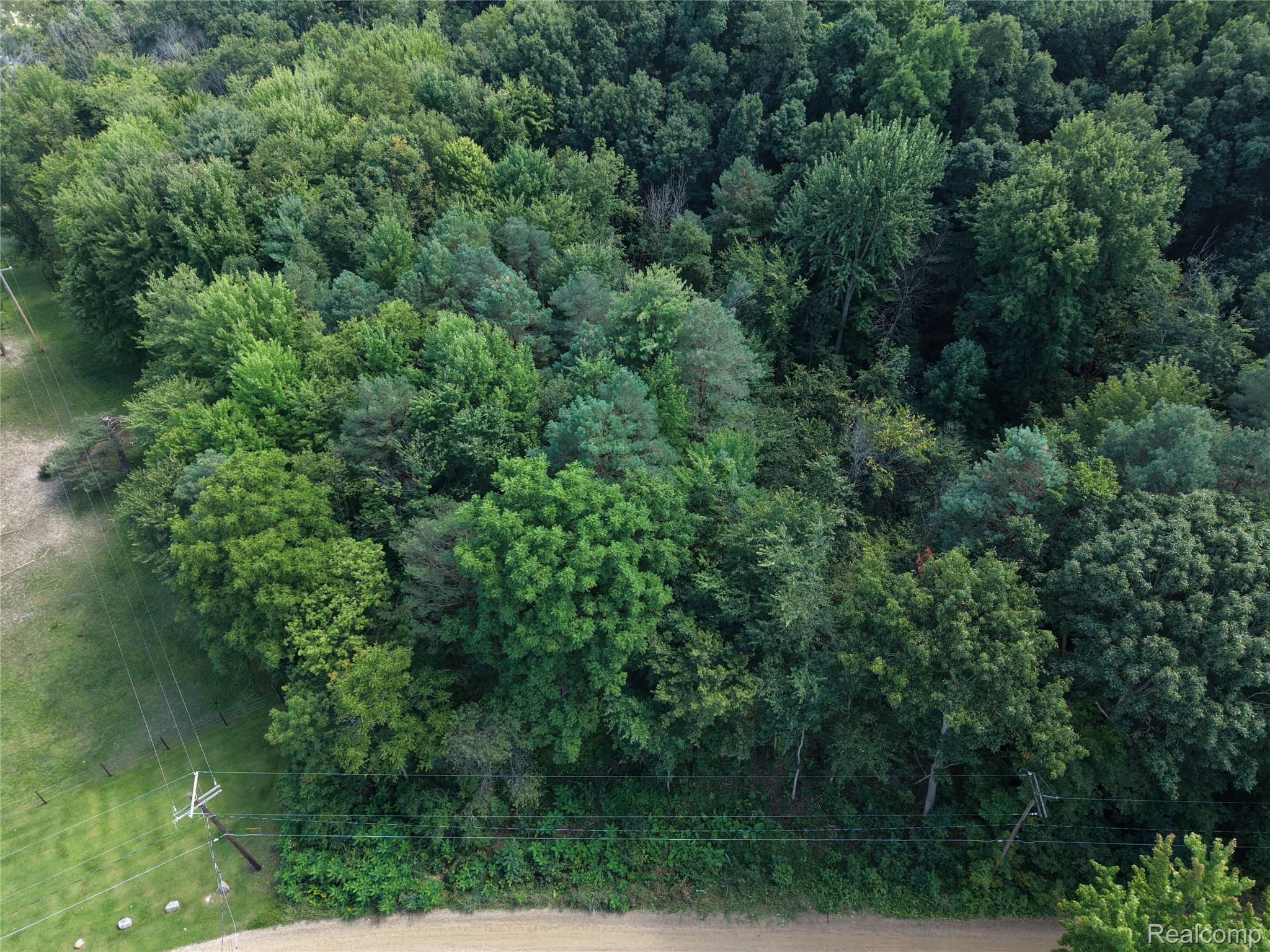 12195 Softwater Lake Dr Property Photo 4