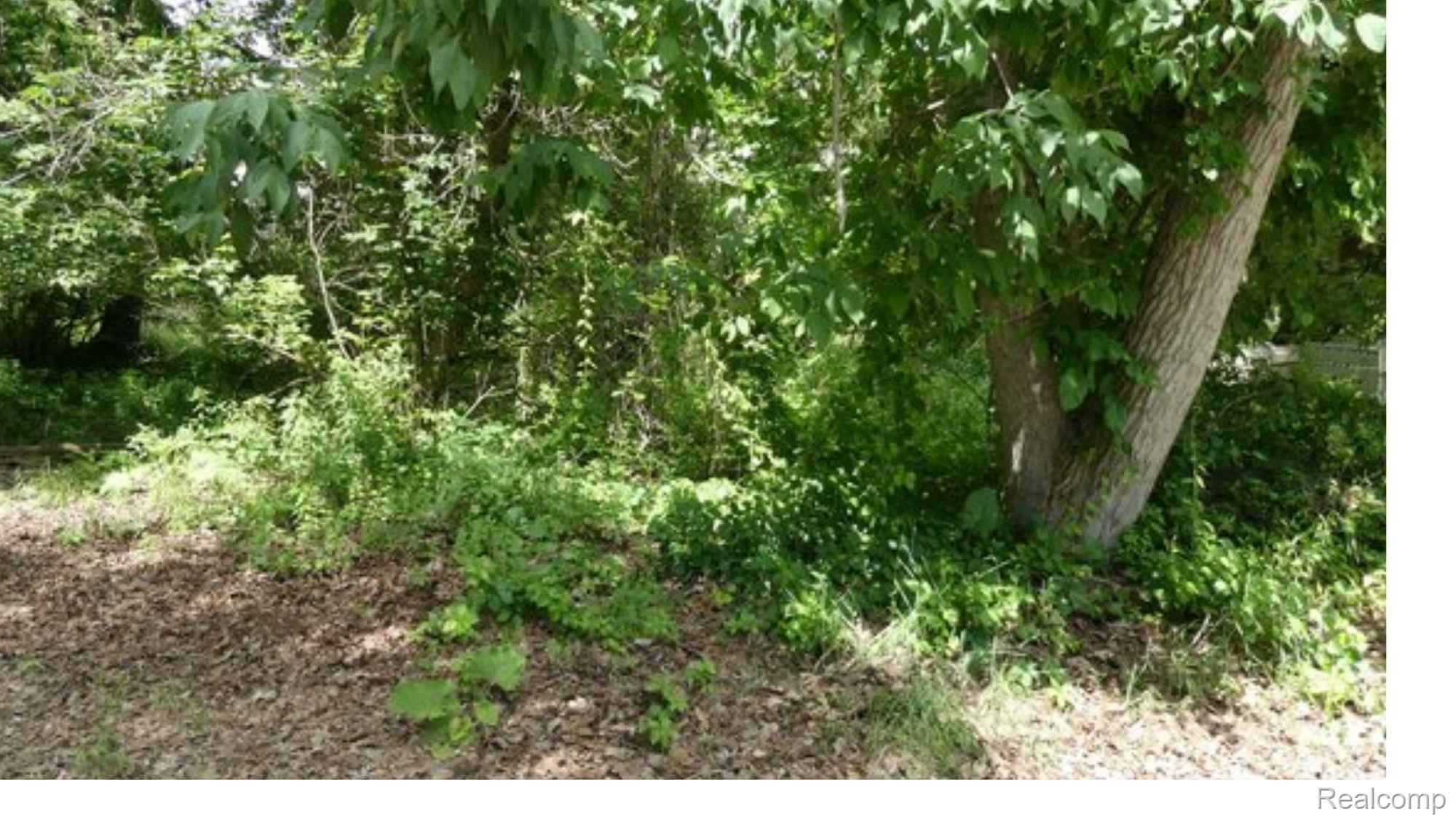 0000 Johnson Drive | Lot 4 Property Photo 1