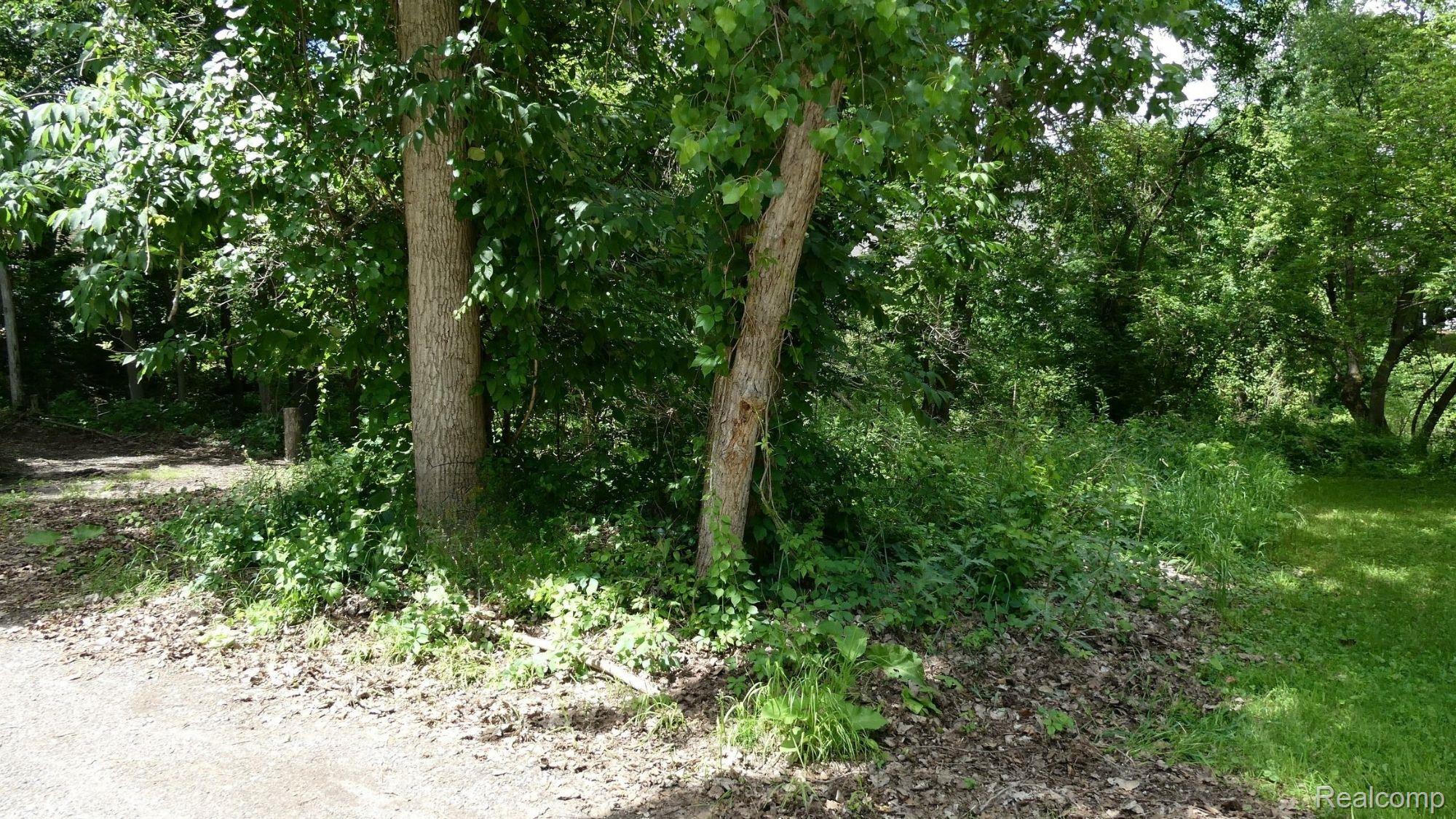 0000 Johnson Drive | Lot 4 Property Photo 2