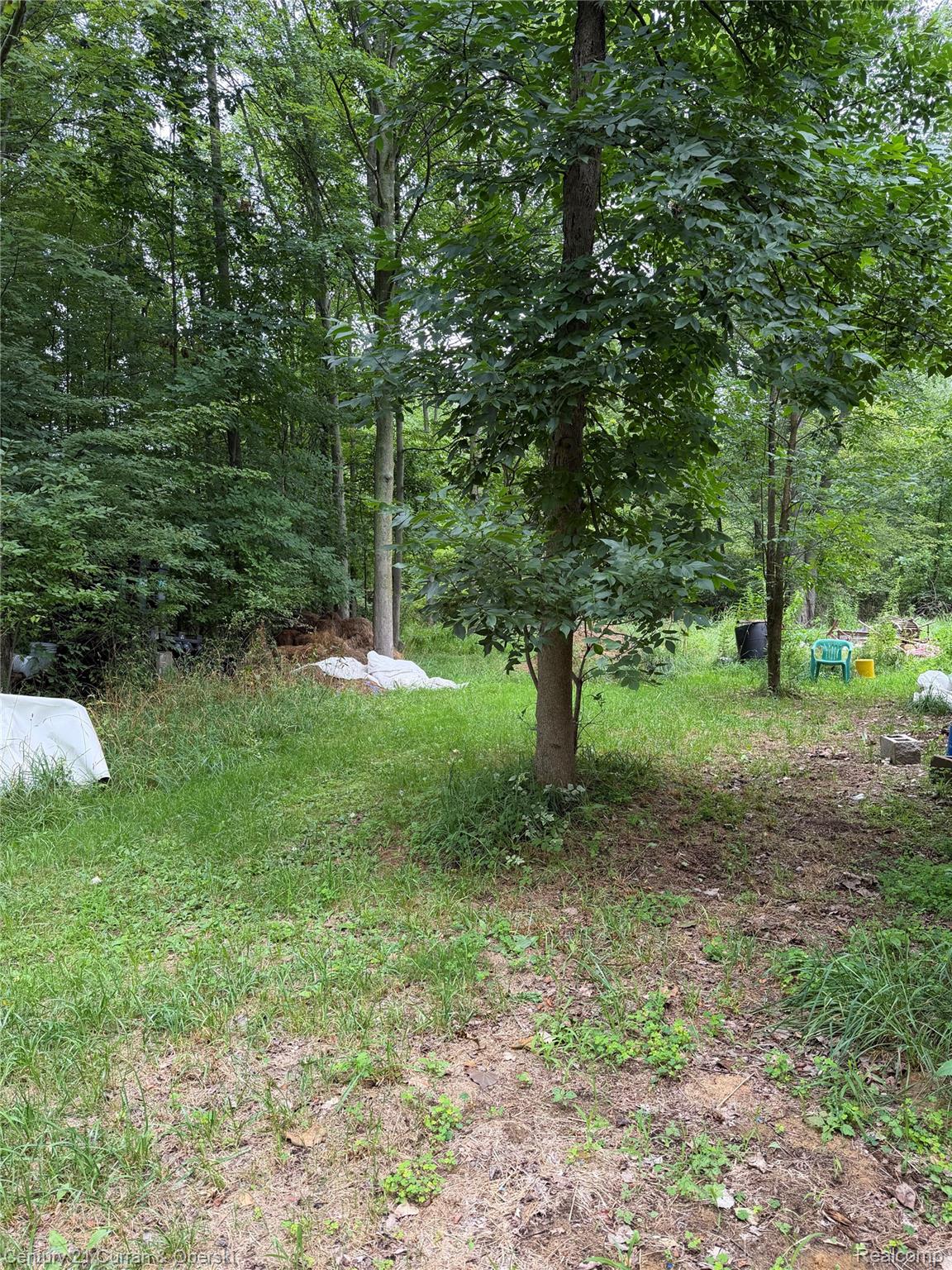 1873 Pierce Road Property Photo 12
