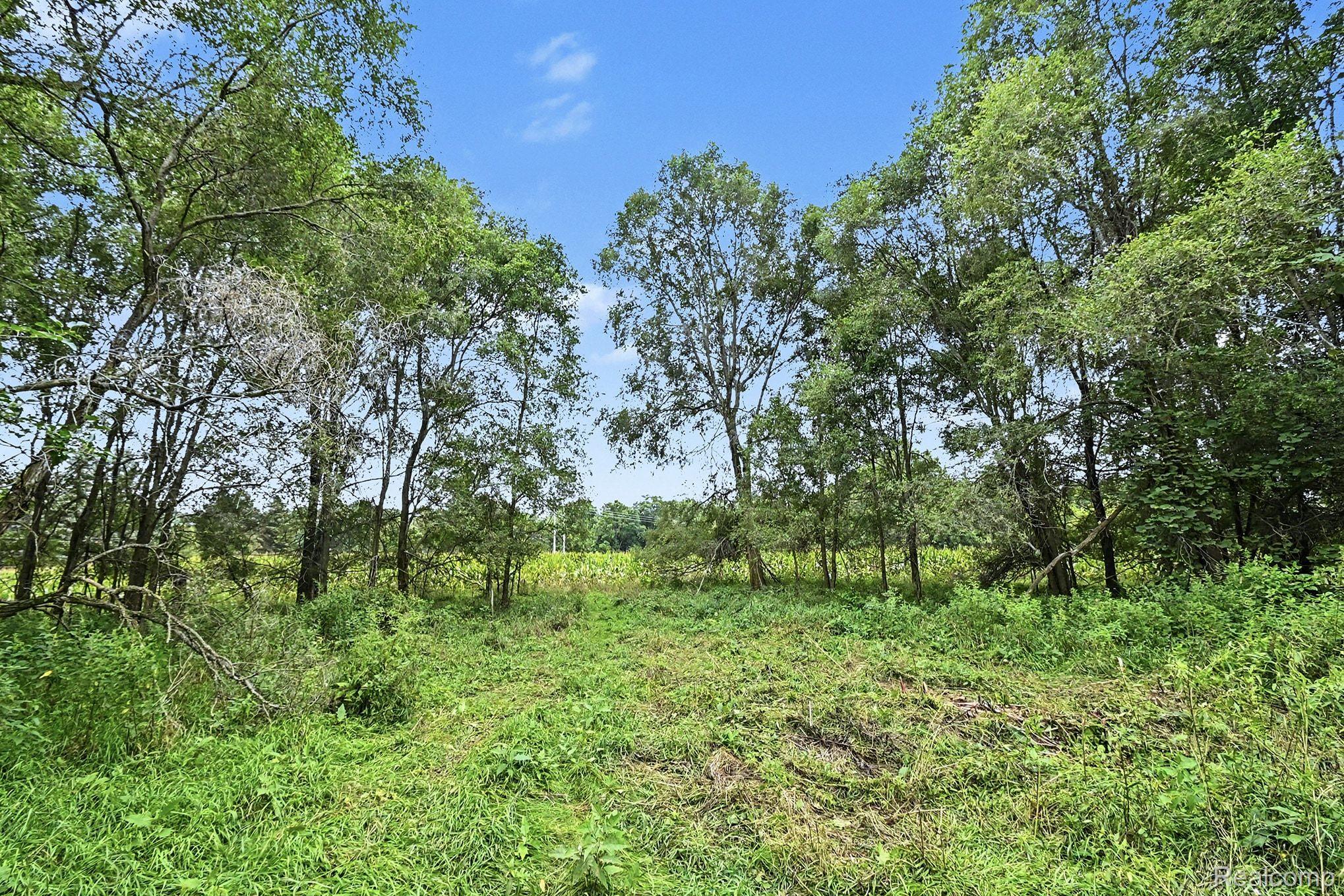 8145 Beardslee Road Property Photo 12