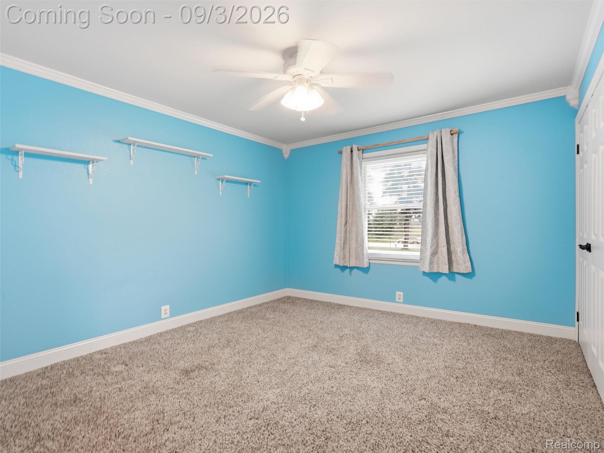 72695 Van Dyke Road Property Photo 27