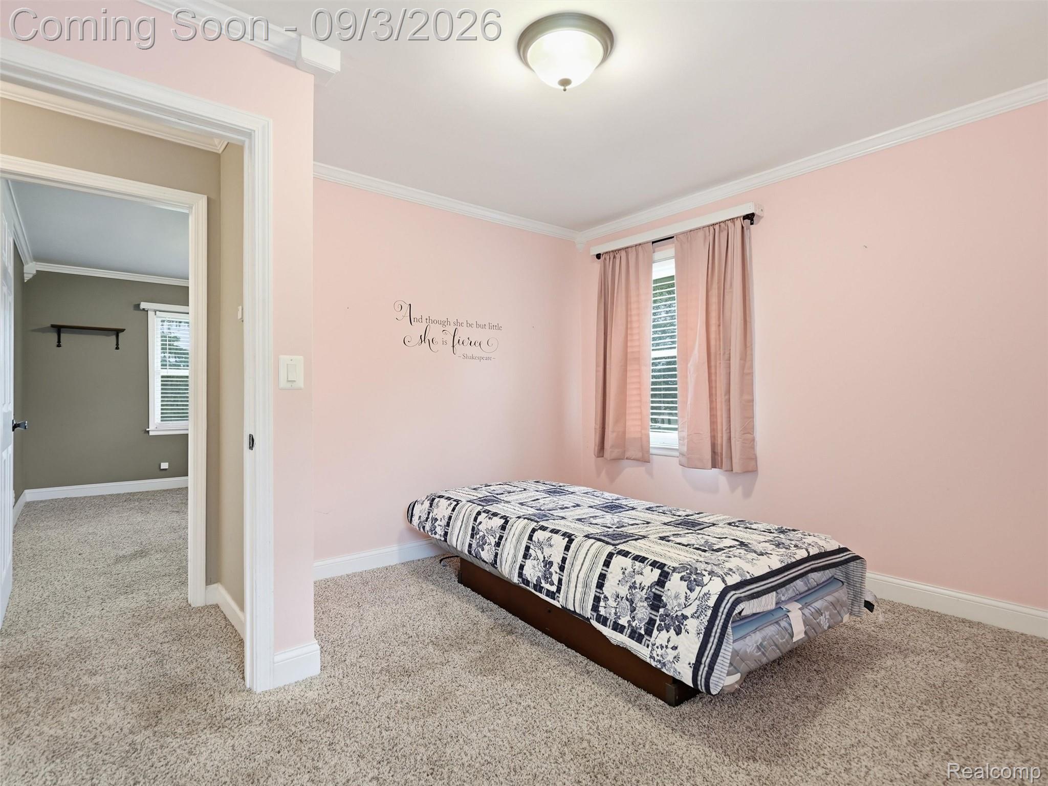 72695 Van Dyke Road Property Photo 29
