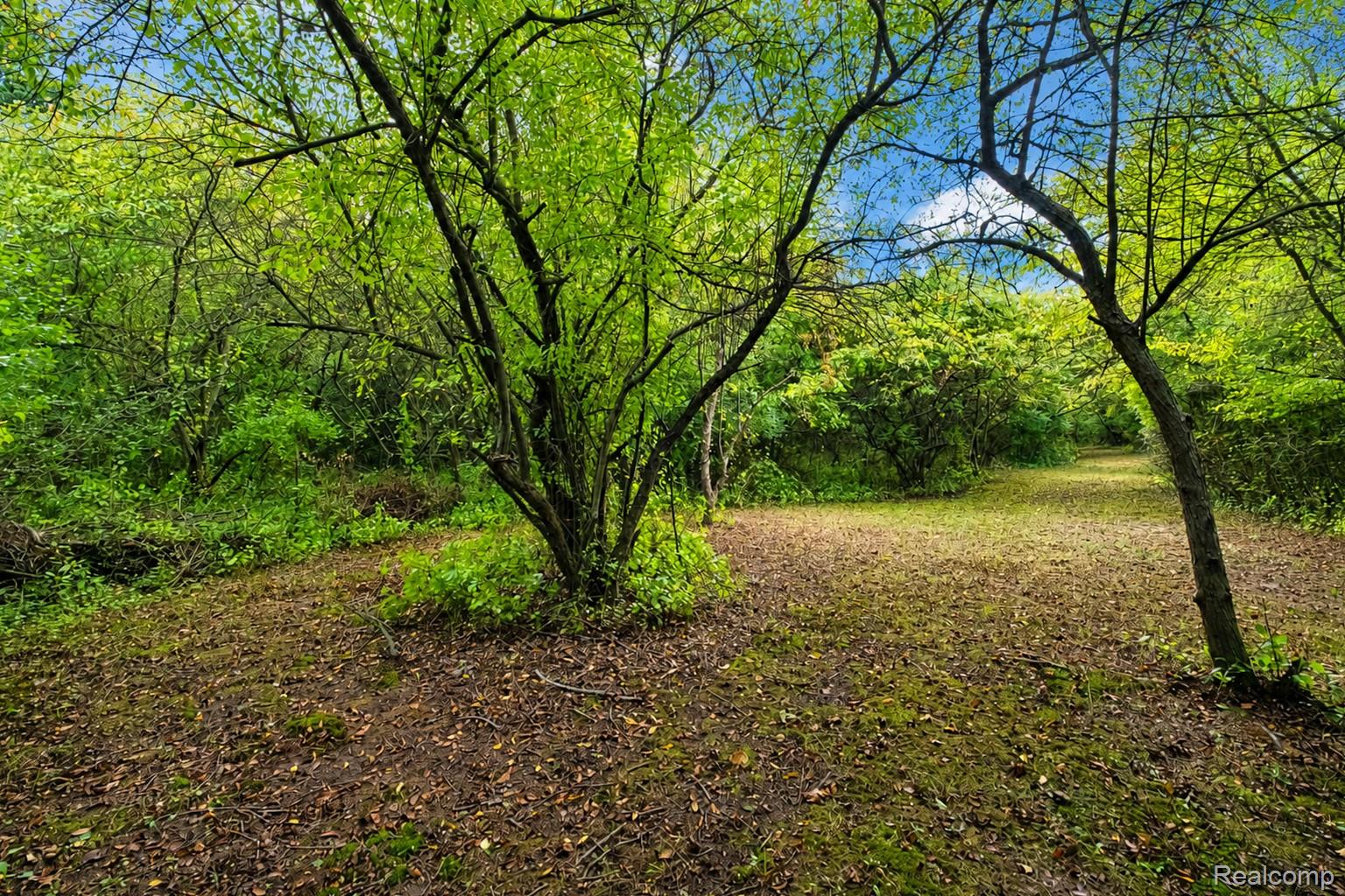 3363 E Pierson Road Property Photo 23