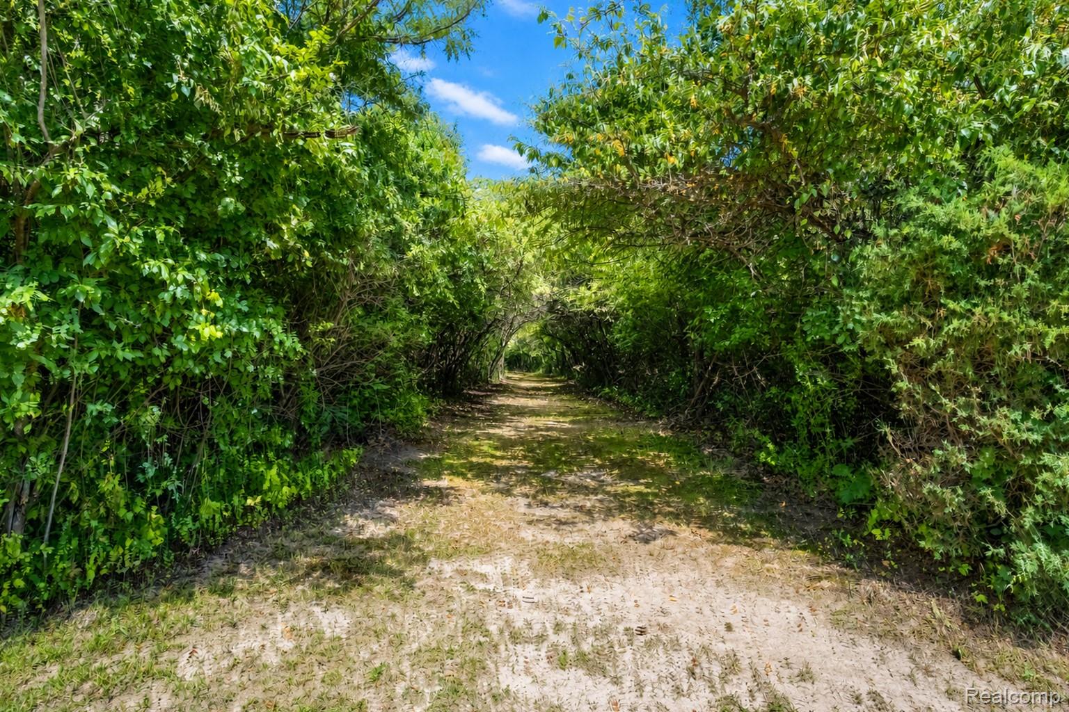 3363 E Pierson Road Property Photo 24