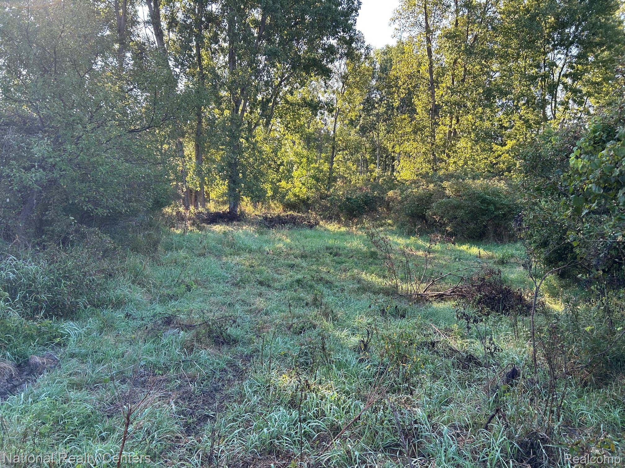 0000 Austin Farms Parcel D Property Photo 1