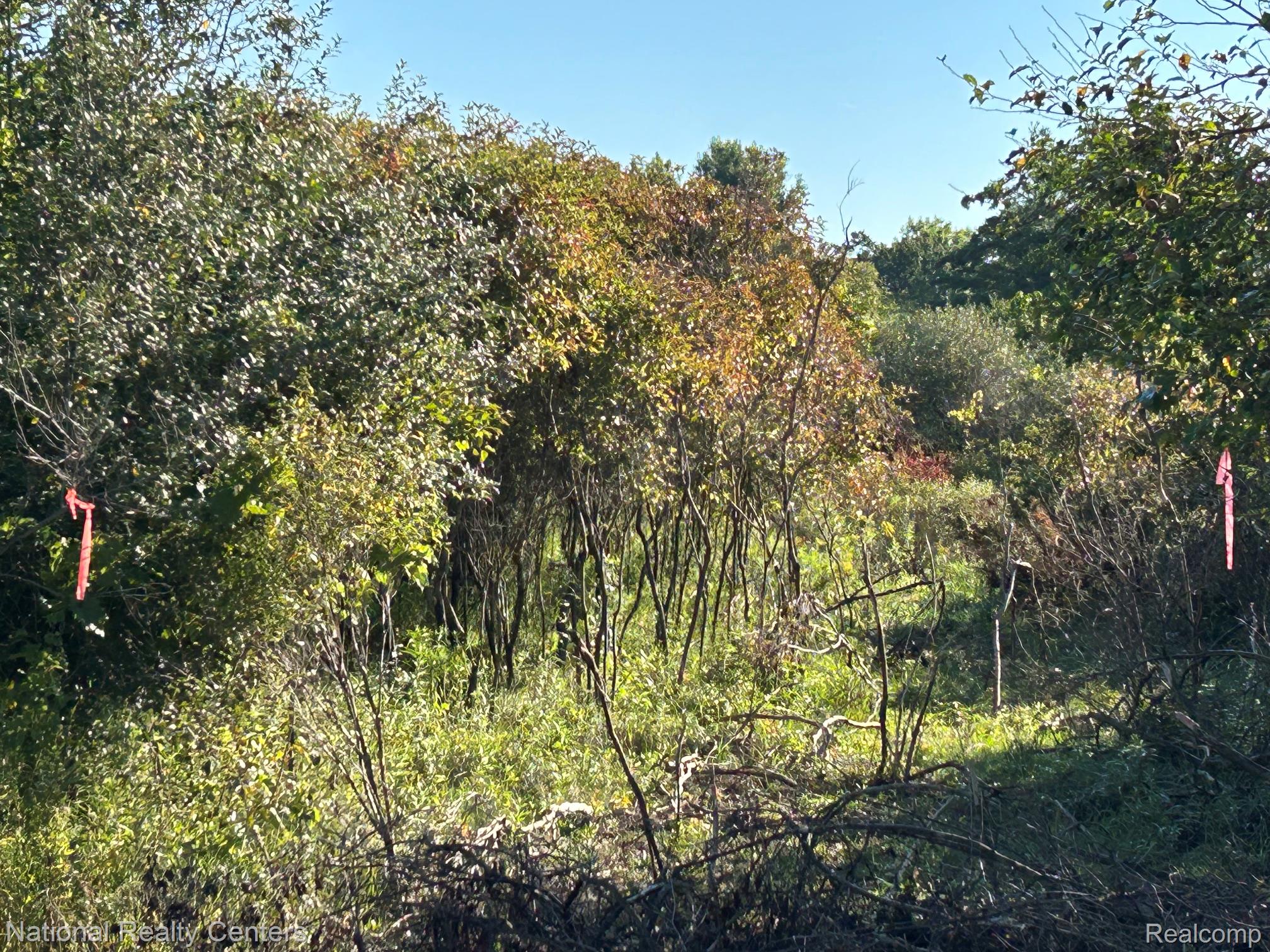 0000 Austin Farms Parcel C Property Photo 3