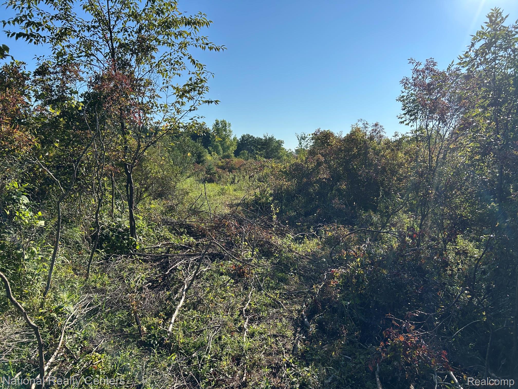 0000 Austin Farms Parcel C Property Photo 5
