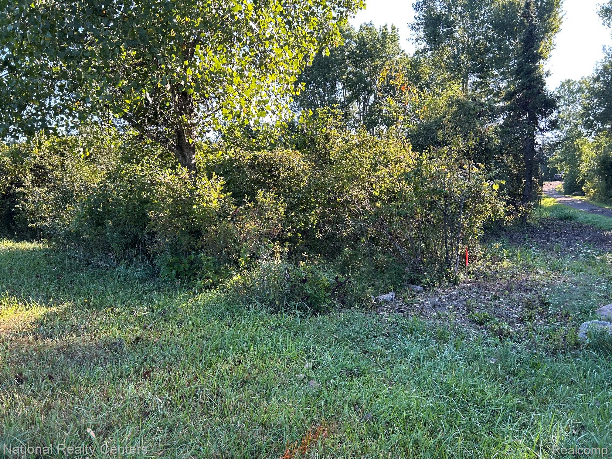 0000 Austin Farms Parcel C Property Photo 8