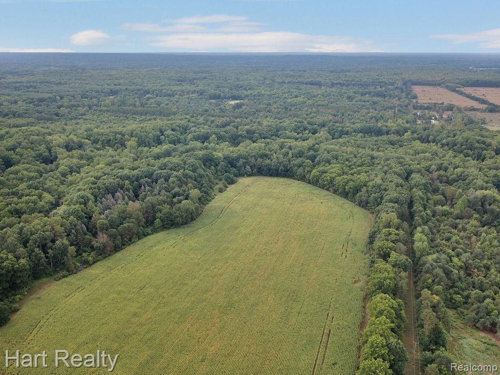 3373 June Road Property Photo 4