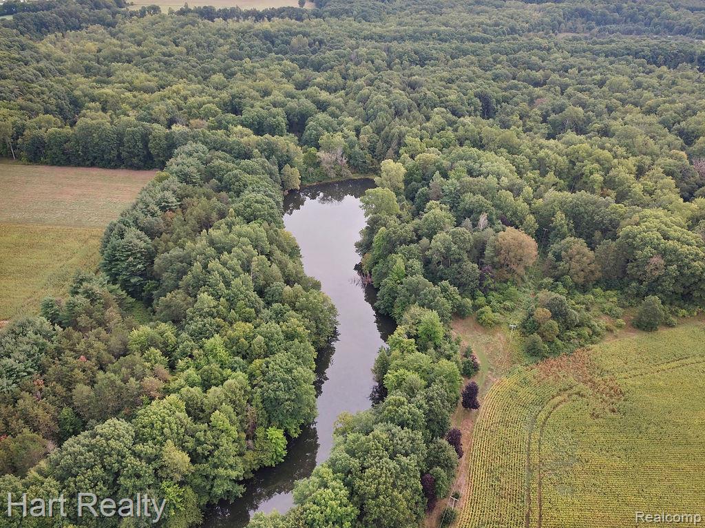 3373 June Road Property Photo 5