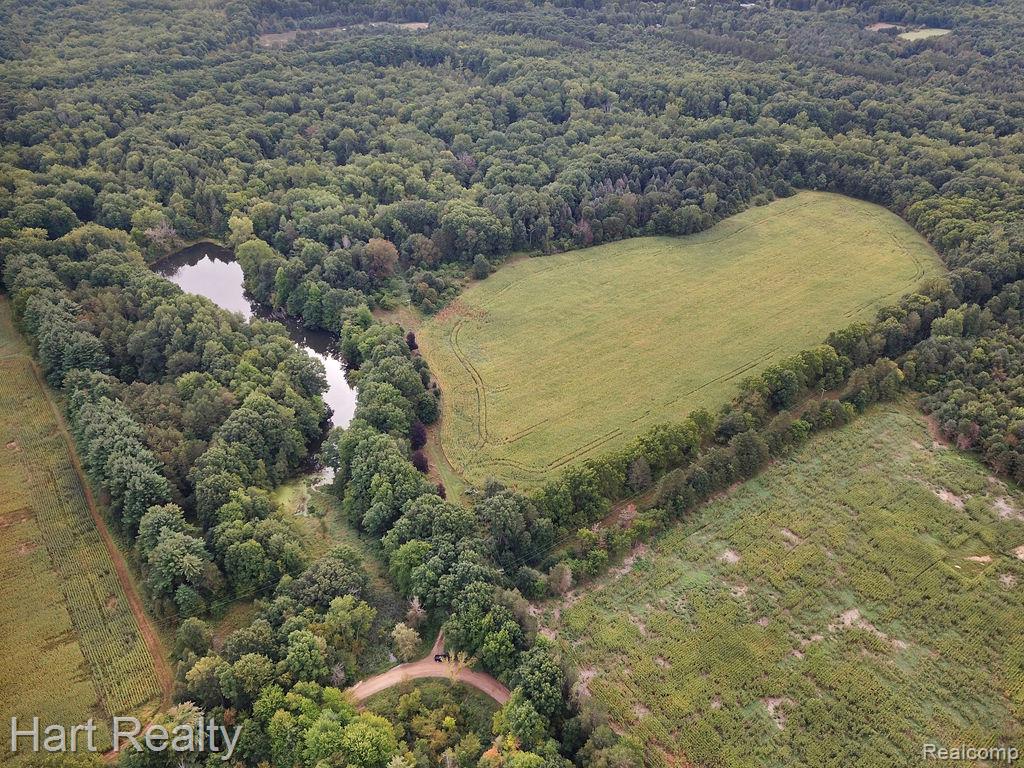 3373 June Road Property Photo 6