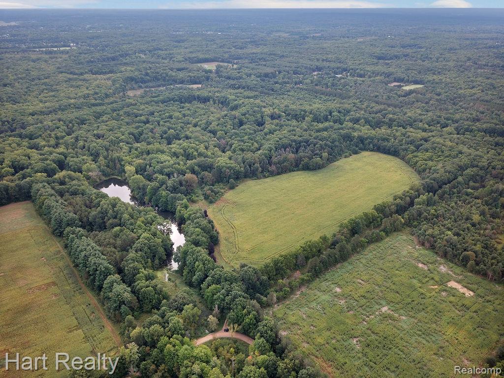 3373 June Road Property Photo 9