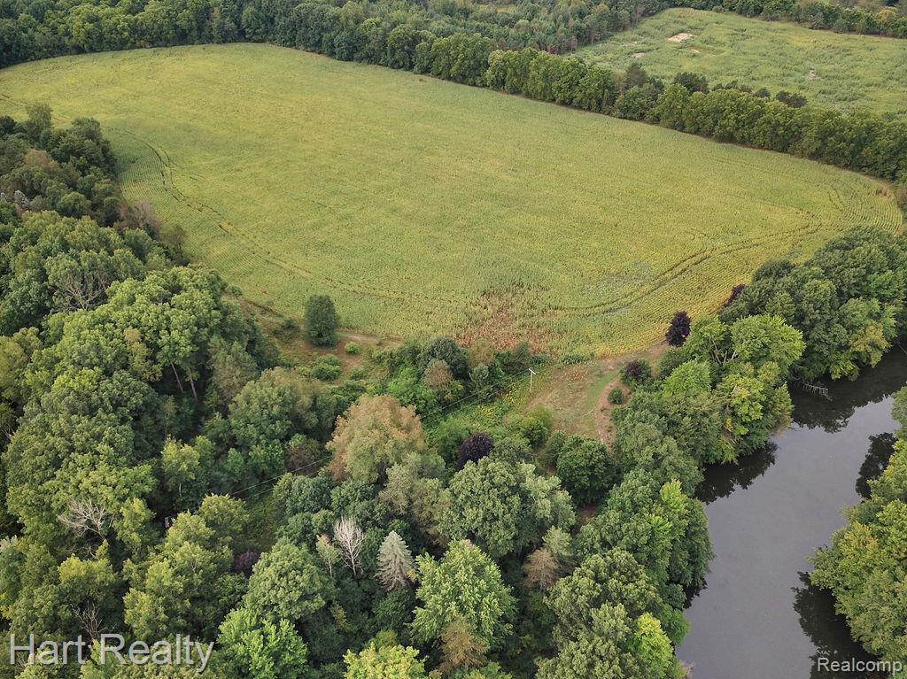 3373 June Road Property Photo 12