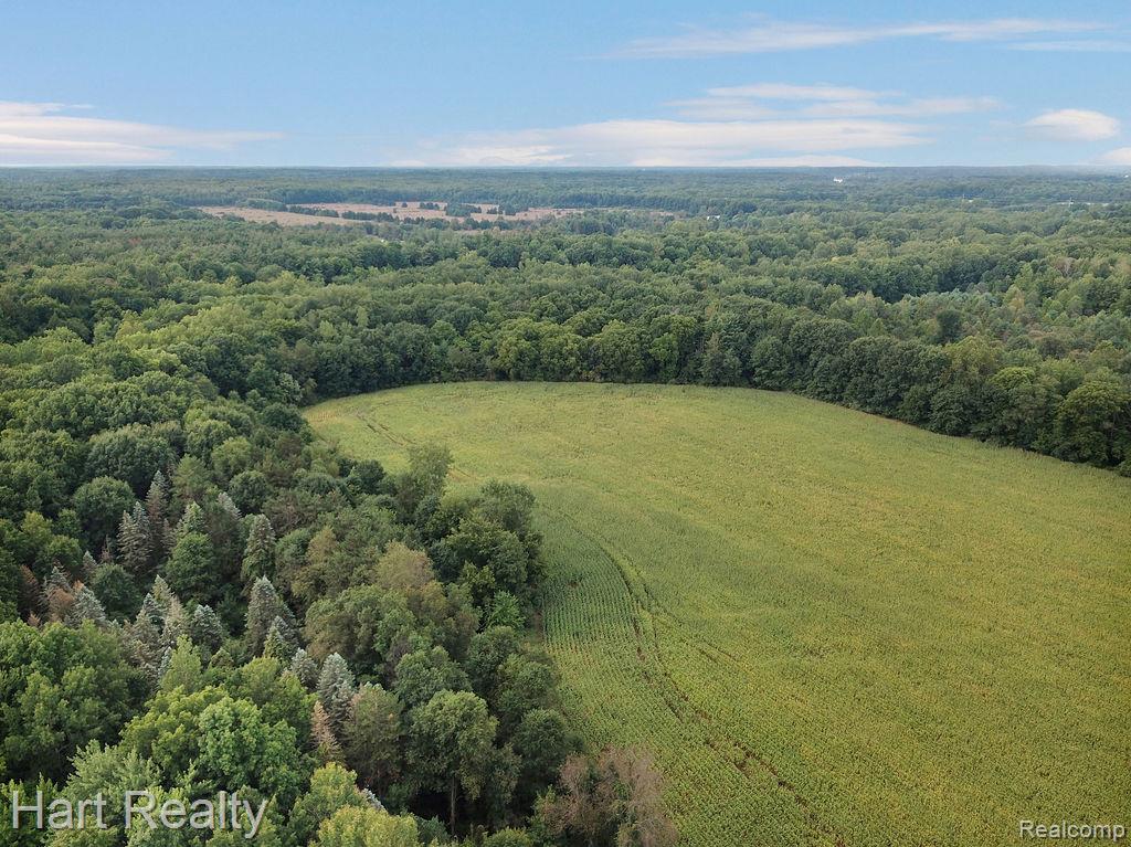3373 June Road Property Photo 13